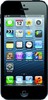 Apple iPhone 5 16GB - Домодедово